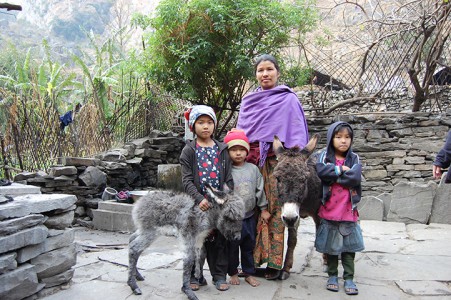 Sita K.G. hat bereit ein Fohlen. Sie betreut ihre Esel zusammen mit dem Esel einer anderen alleinerziehenden Mutter weil das Tier trächtig ist und nicht alleine sein möchte. 