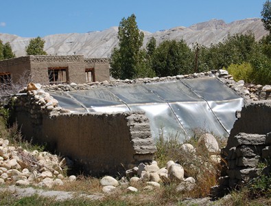 Ein Gewächshaus in Upper Mustang (nicht mit Mitteln der Esel-Initiative gebaut und nicht im Besitz einer allein erziehenden Mutter); die Gewächshäuser, die wir bauen wollen, sind etwas abgewandelt, um natürliche Wärmespeicherung noch besser zu nutzen.  