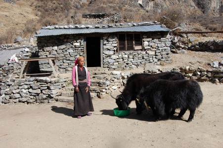 Gaki T. ist allein erziehende Mutter mit einer kleinen Tochter. Sie lebt auf 3300 m Höhe, betreibt einen kleinen Teeausschank und verkauft Nakmilch.